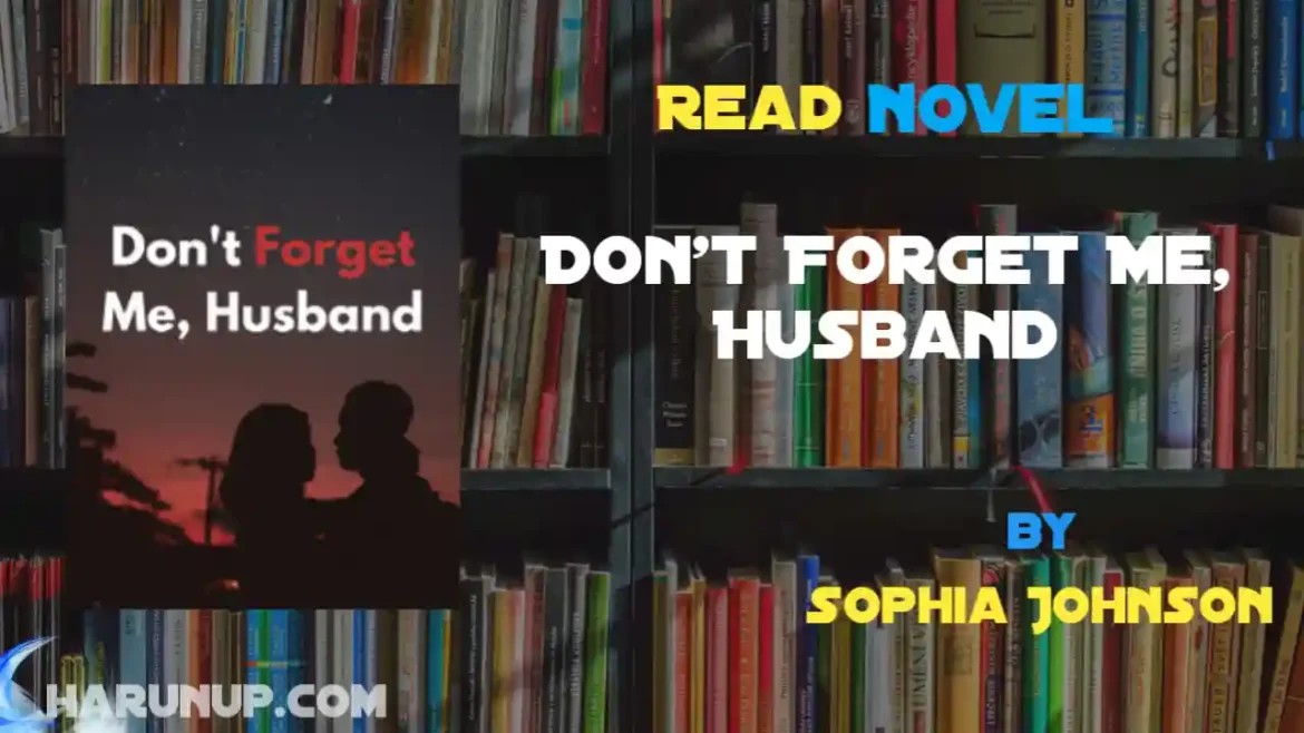 Don't Forget Me, Husband Novel