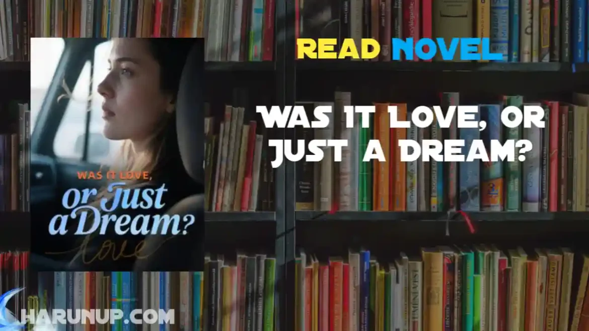 Was It Love, or Just a Dream? Novel
