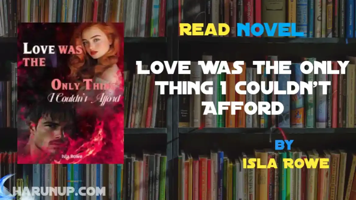 Love Was the Only Thing I Couldn't Afford Novel