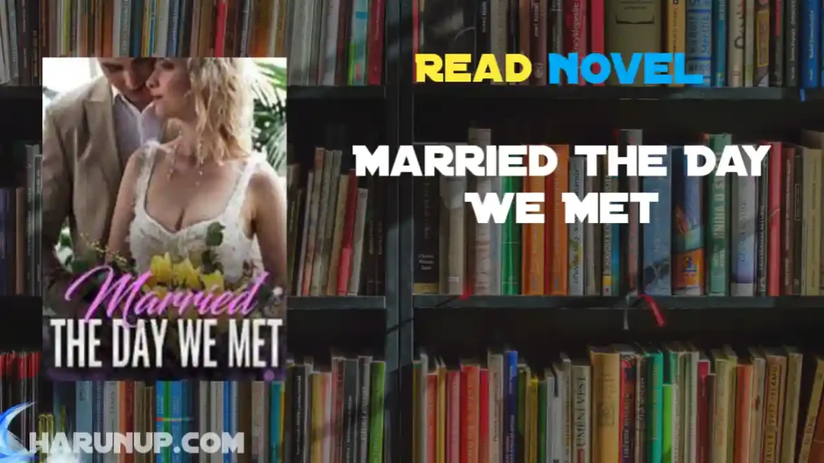 Married The Day We Met Novel