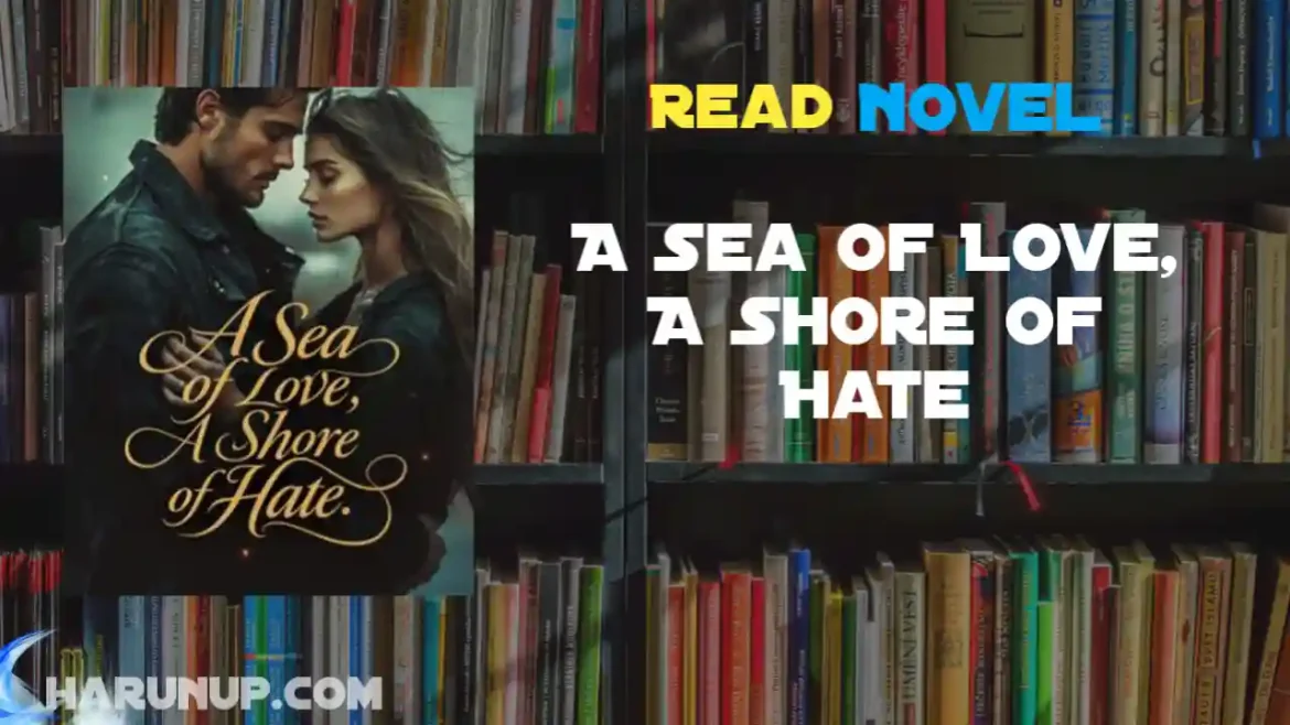 A Sea of Love, A Shore of Hate Novel