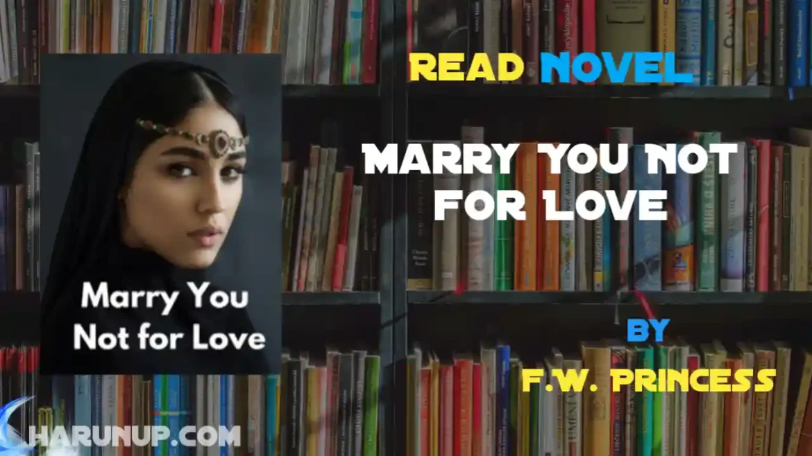 Marry You Not for Love Novel