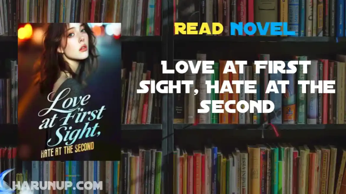 Love at First Sight, Hate at the Second Novel