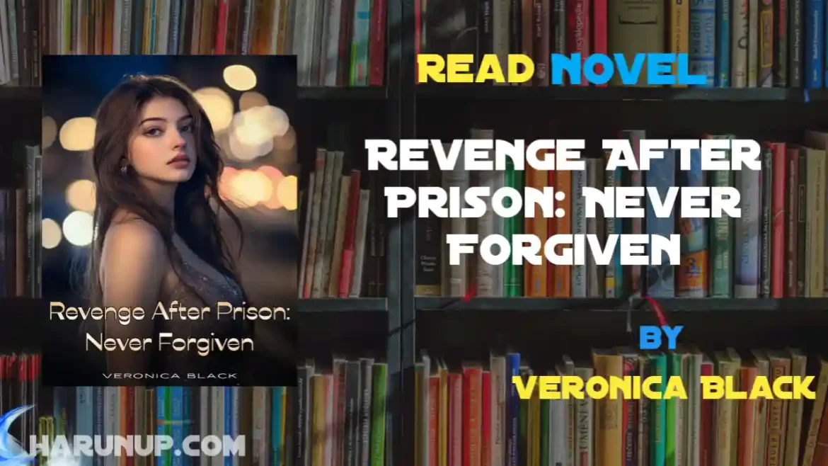 Revenge After Prison: Never Forgiven Novel