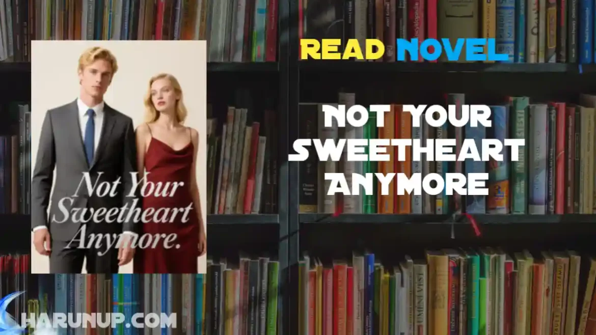 Not Your Sweetheart Anymore Novel