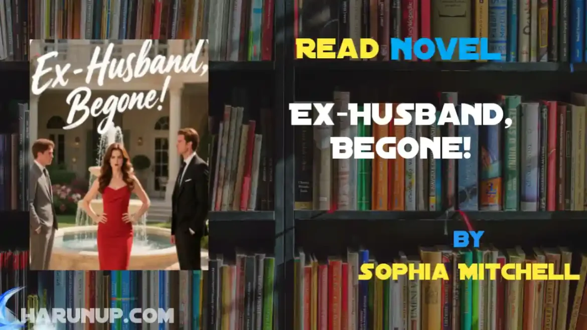 Ex-Husband, Begone! Novel