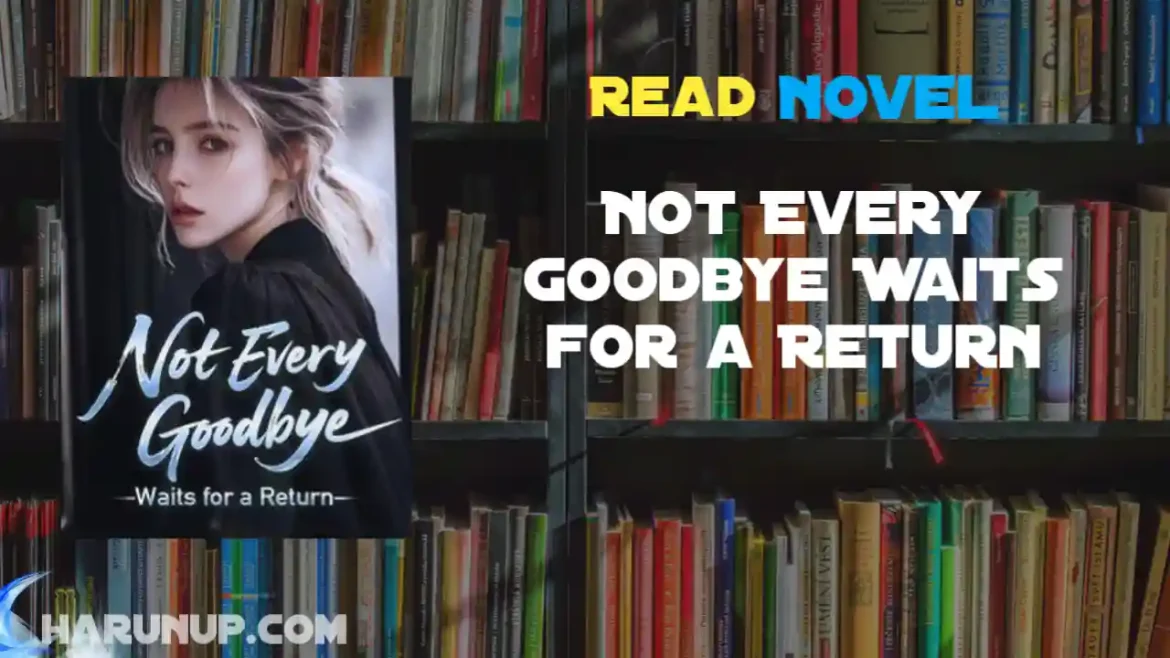 Not Every Goodbye Waits for a Return Novel