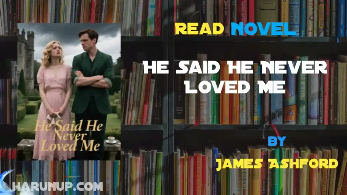 He Said He Never Loved Me Novel