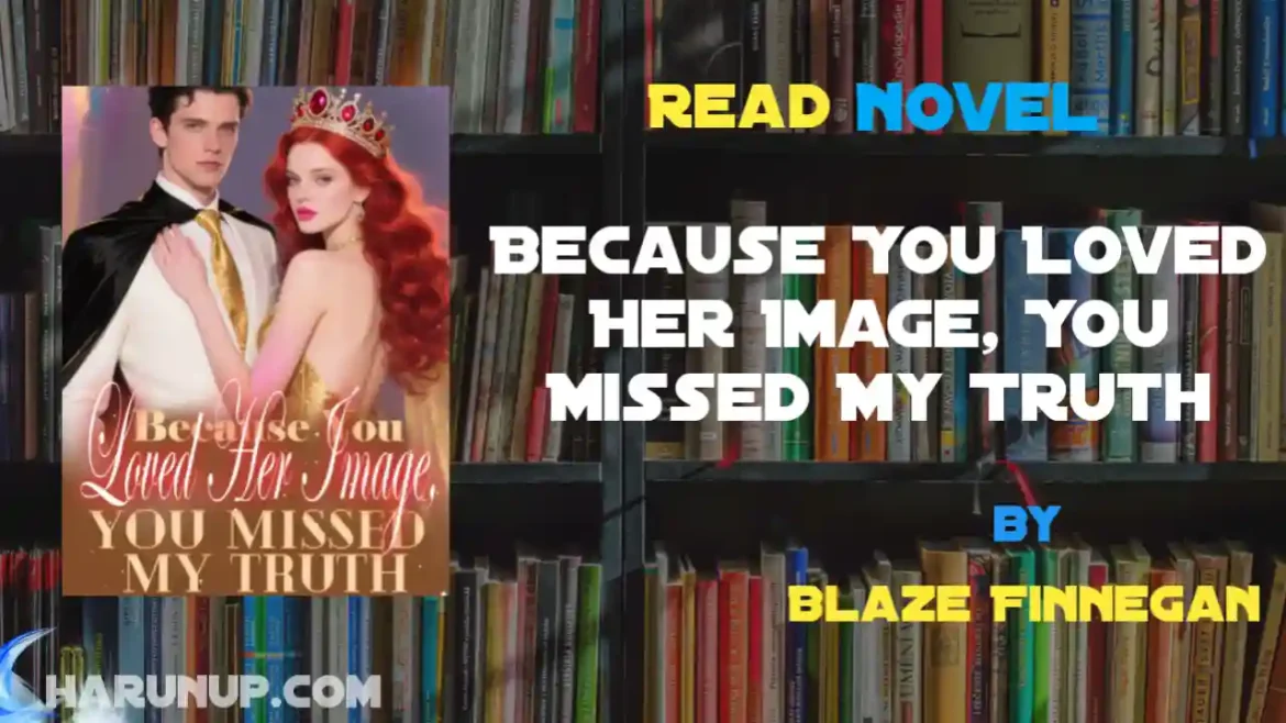 Because You Loved Her Image, You Missed My Truth Novel