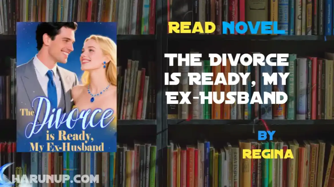 The Divorce is Ready, My Ex-Husband Novel