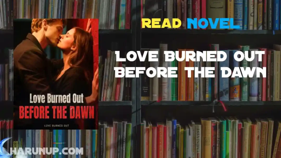 Love Burned Out Before the Dawn Novel