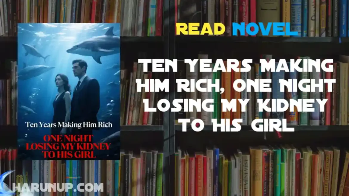 Ten Years Making Him Rich, One Night Losing My Kidney to His Girl Novel