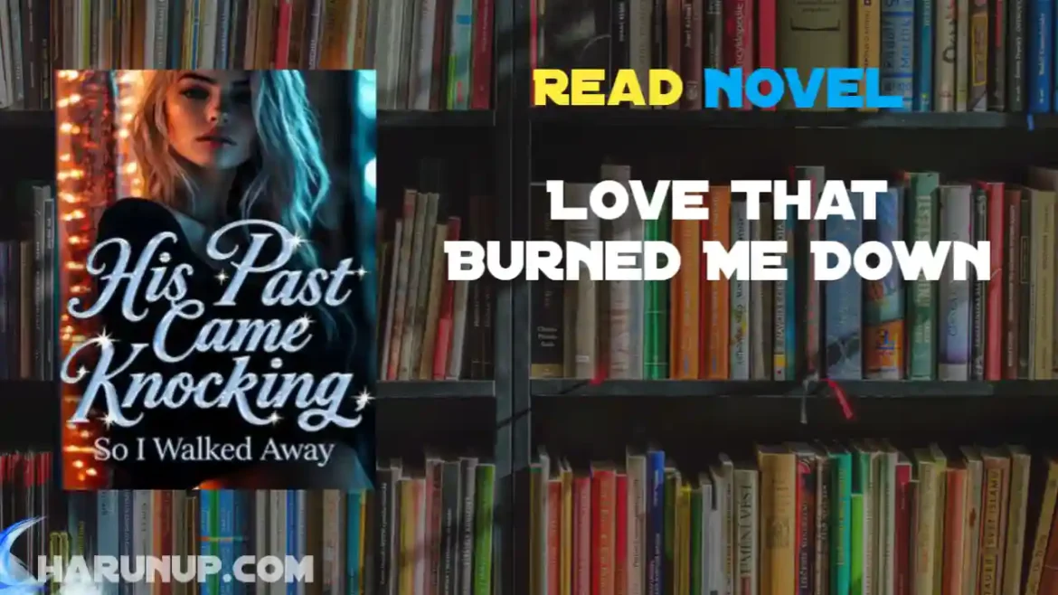 Love That Burned Me Down Novel