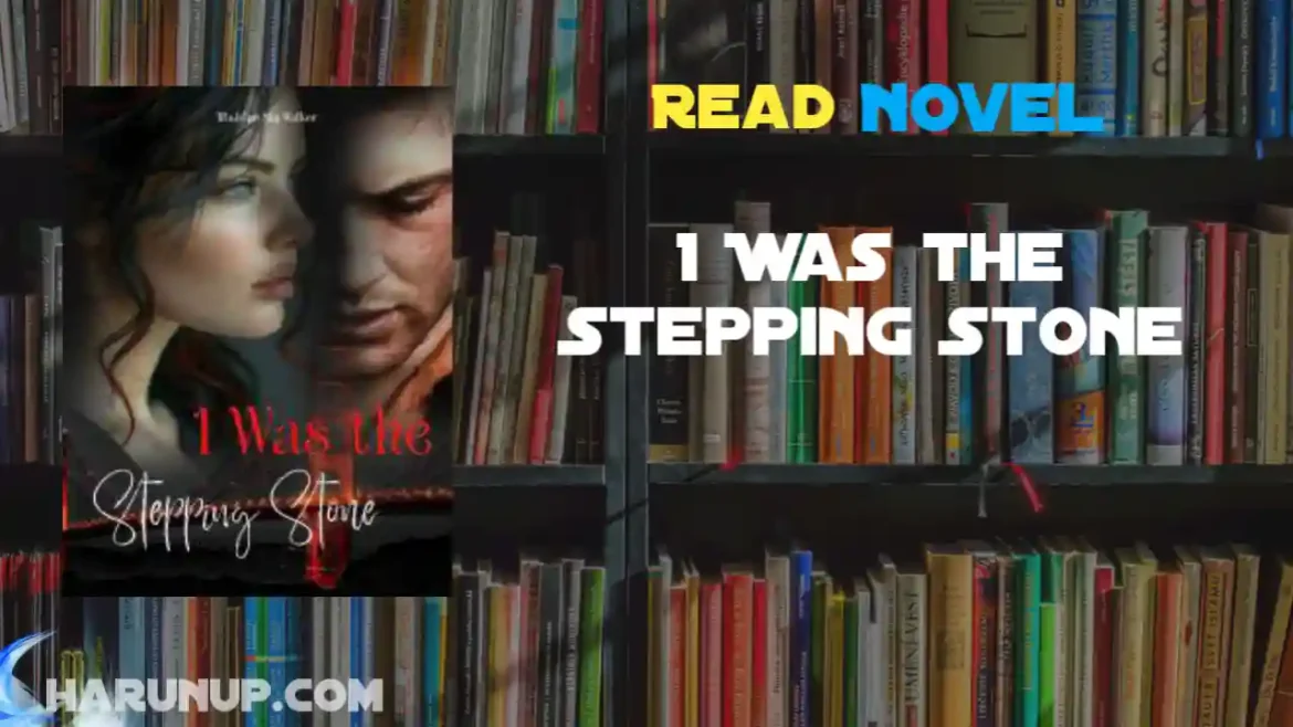 I Was the Stepping Stone Novel
