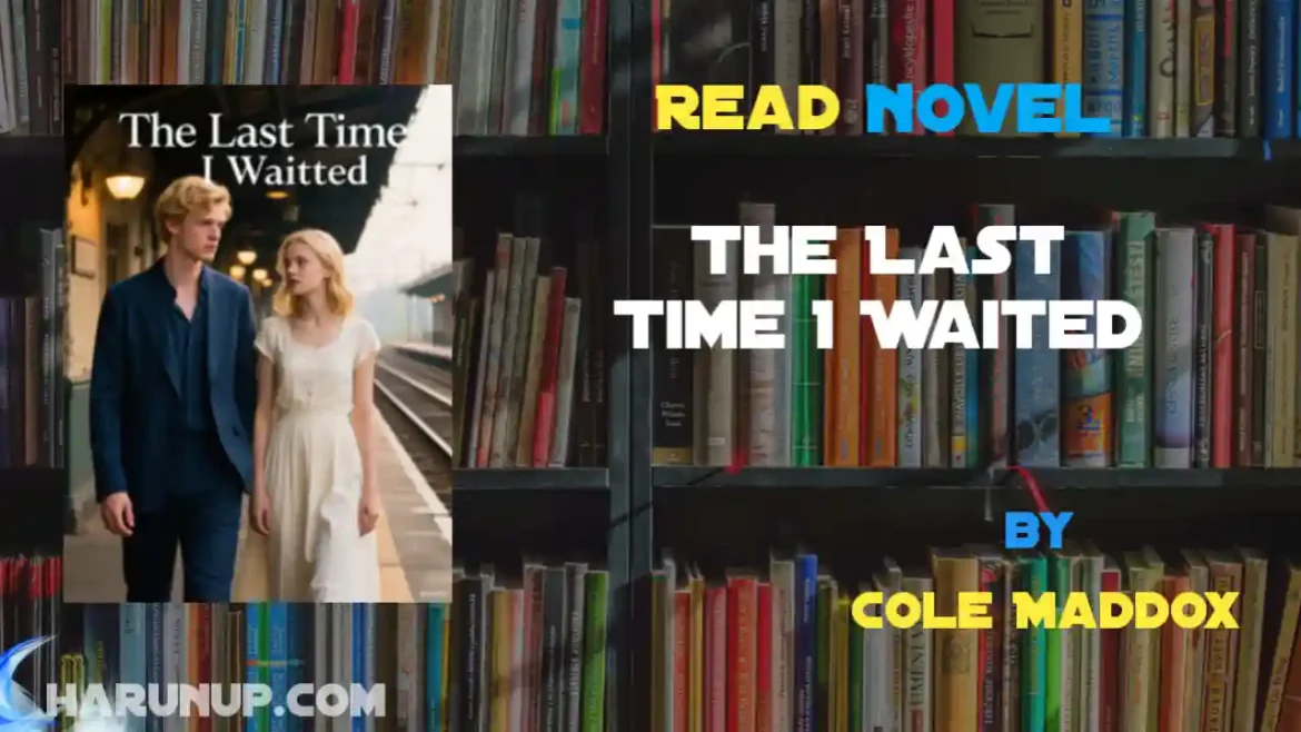 The Last Time I Waited Novel