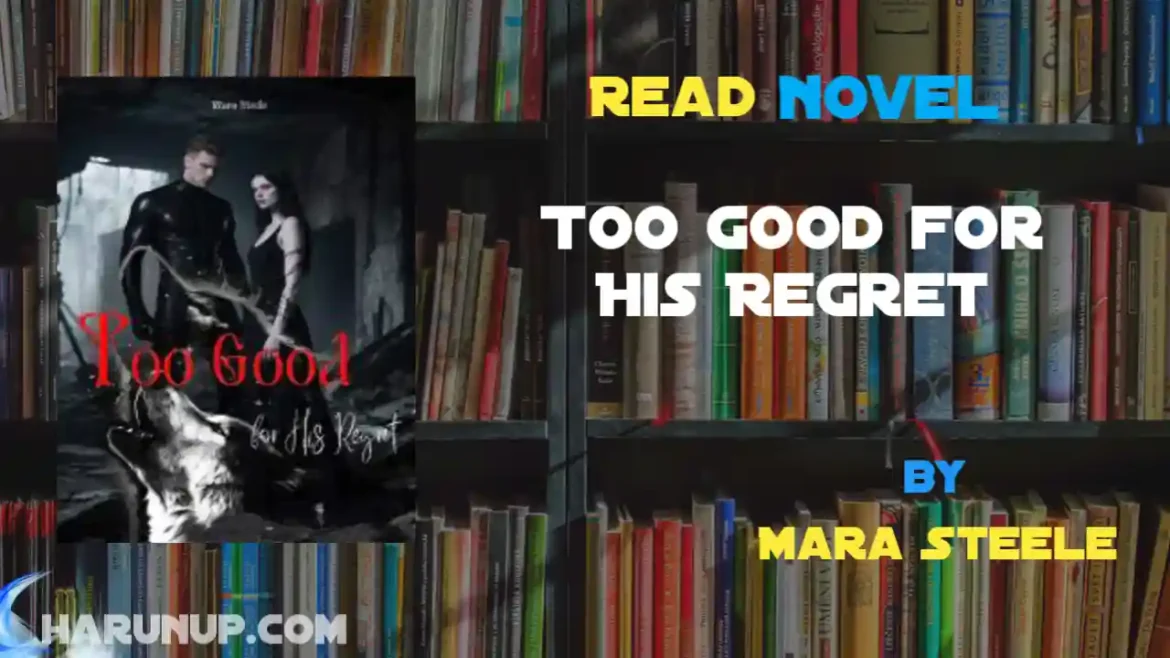 Too Good for His Regret Novel