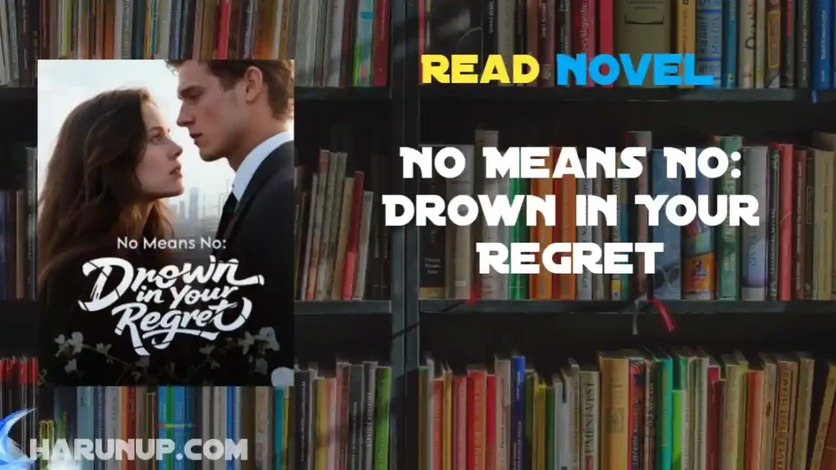 No Means No: Drown in Your Regret Novel