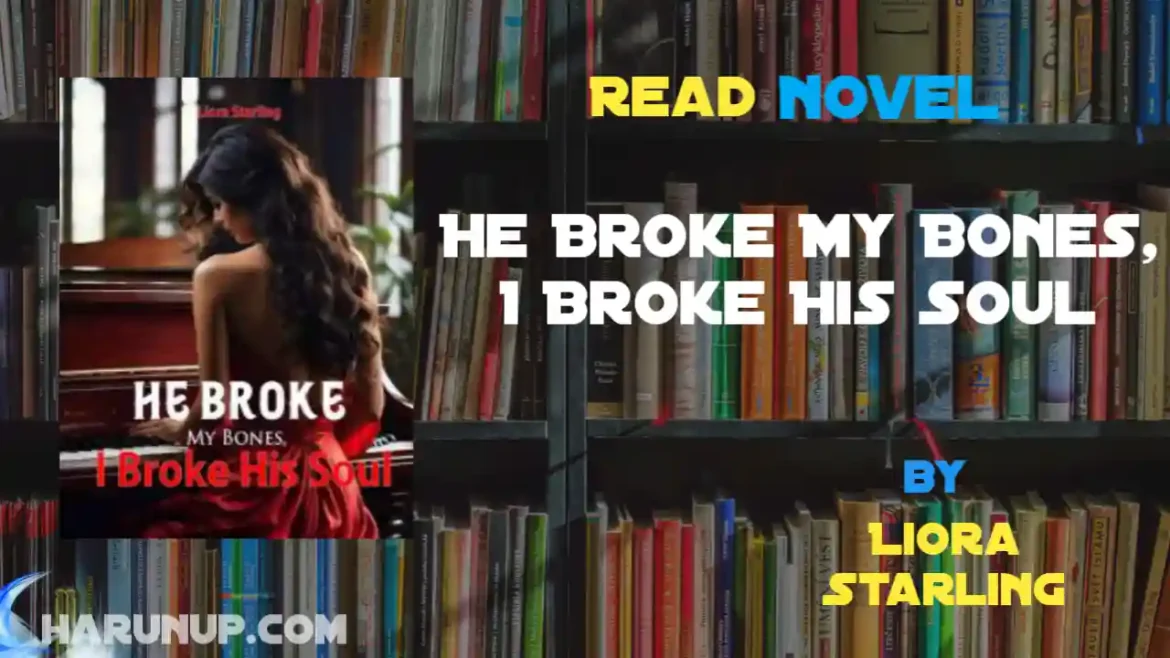 He Broke My Bones, I Broke His Soul Novel