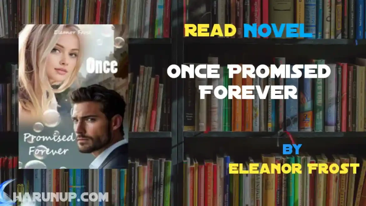 Once Promised Forever Novel