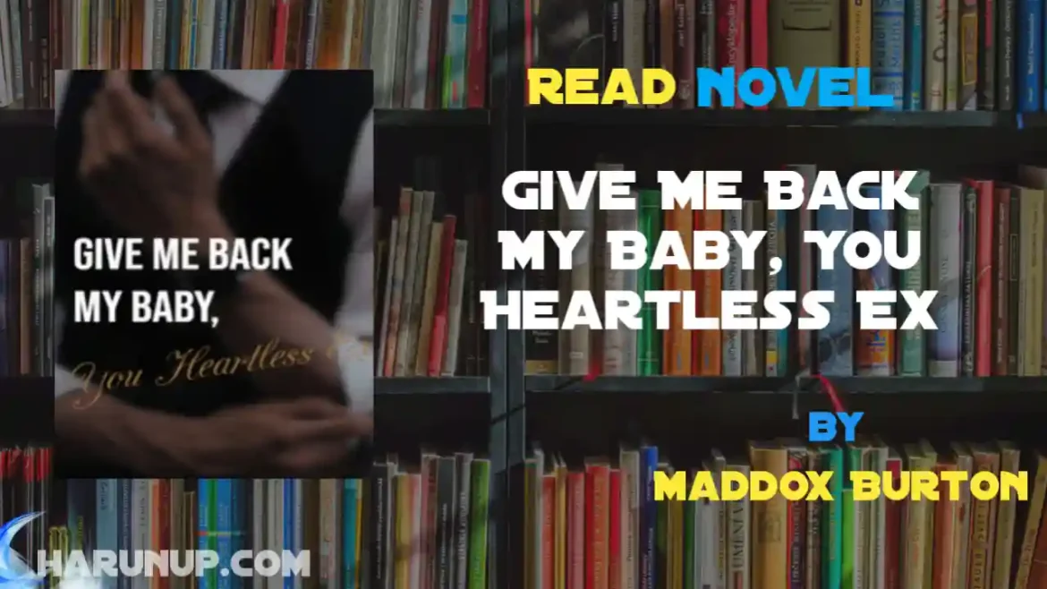 Give Me Back My Baby, You Heartless Ex Novel
