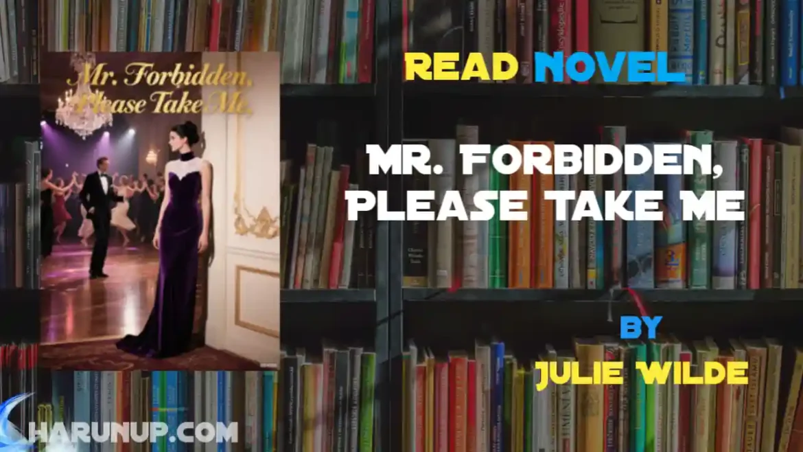 Mr. Forbidden, Please Take Me Novel