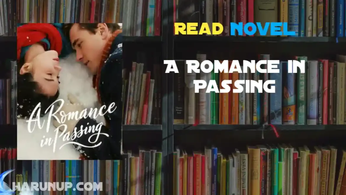 A Romance in Passing Novel