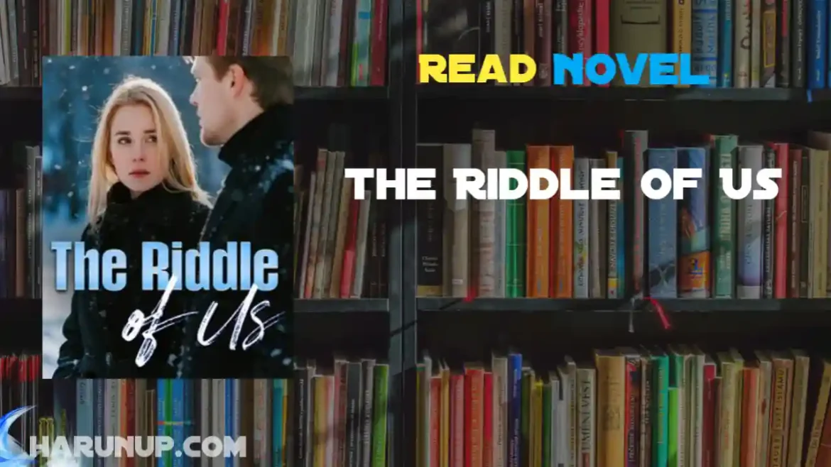 The Riddle of Us Novel