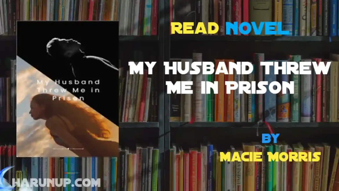 My Husband Threw Me in Prison Novel