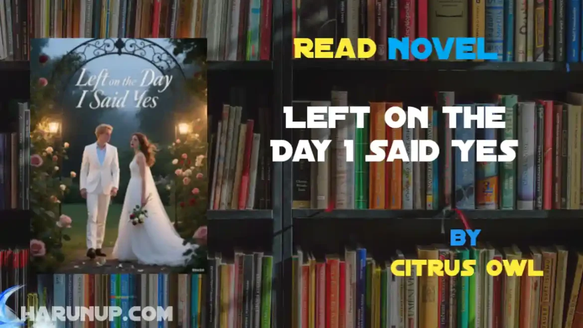 Left on the Day I Said Yes Novel