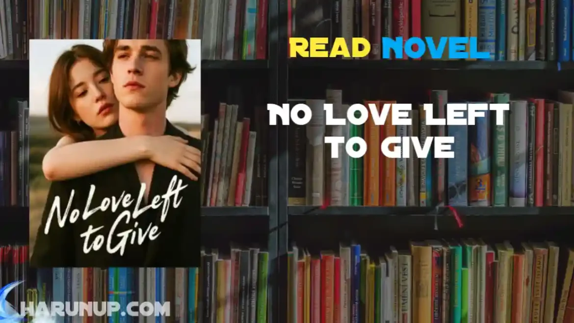 No Love Left to Give Novel
