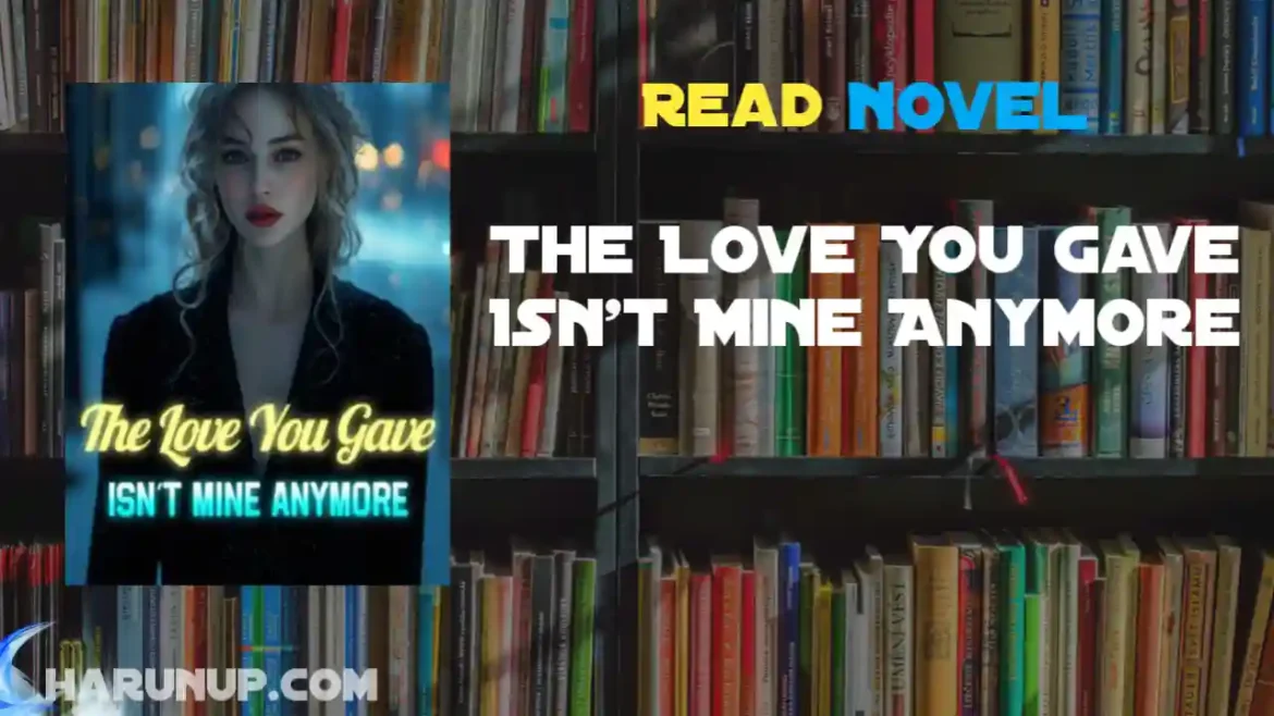 The Love You Gave Isn't Mine Anymore Novel