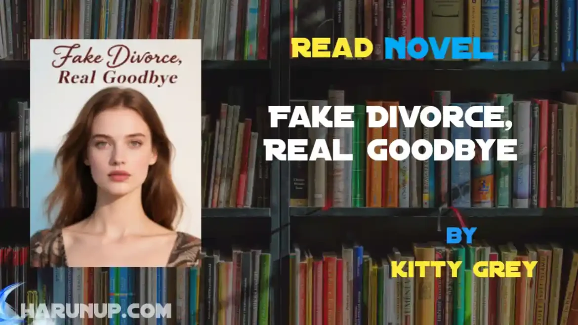 Fake Divorce, Real Goodbye Novel