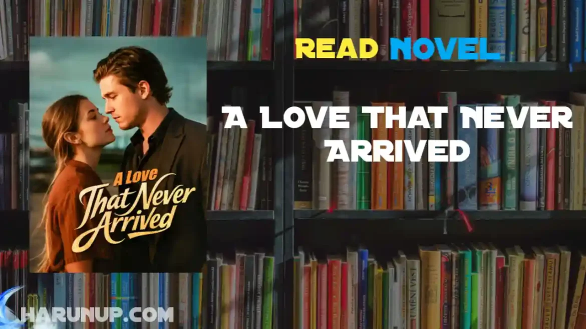 A Love That Never Arrived Novel