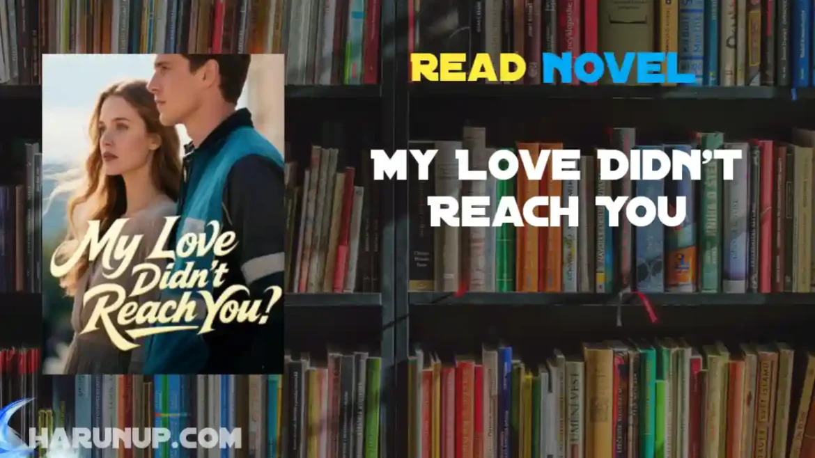 My Love Didn't Reach You Novel