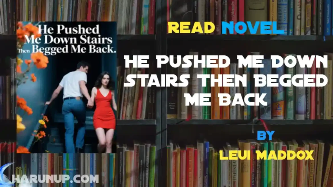 He Pushed Me Down Stairs Then Begged Me Back Novel