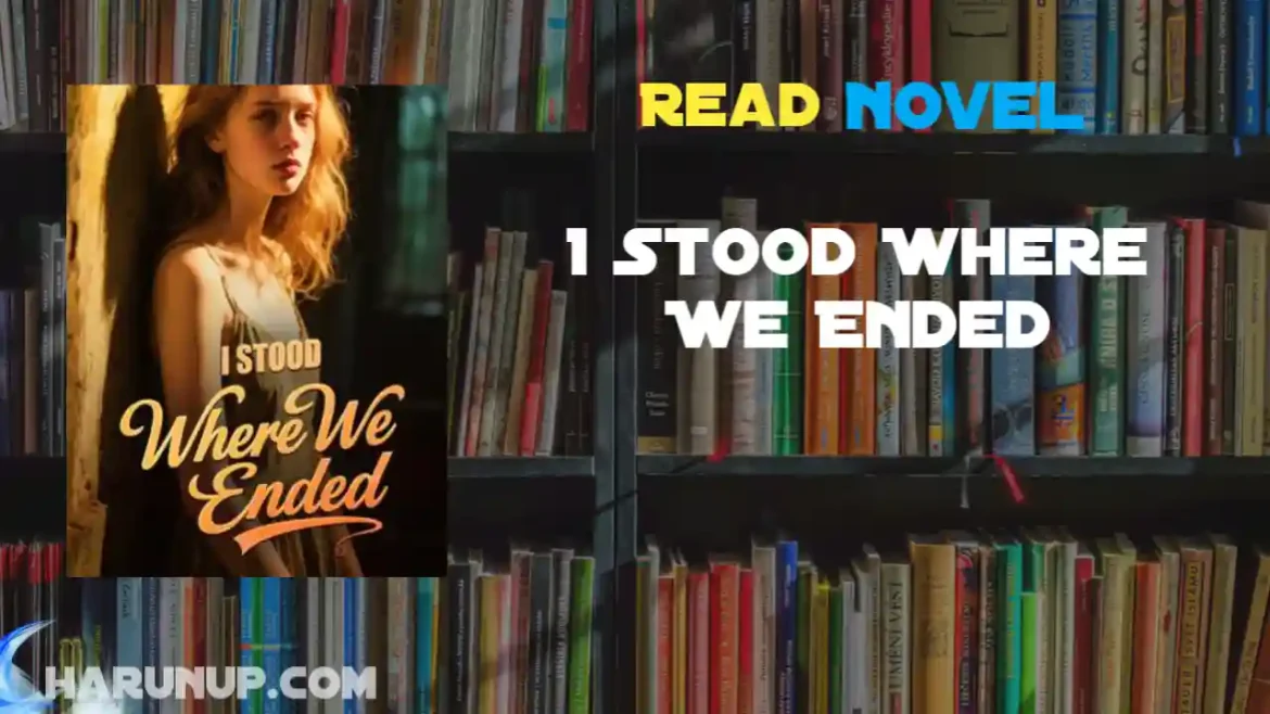 I Stood Where We Ended Novel
