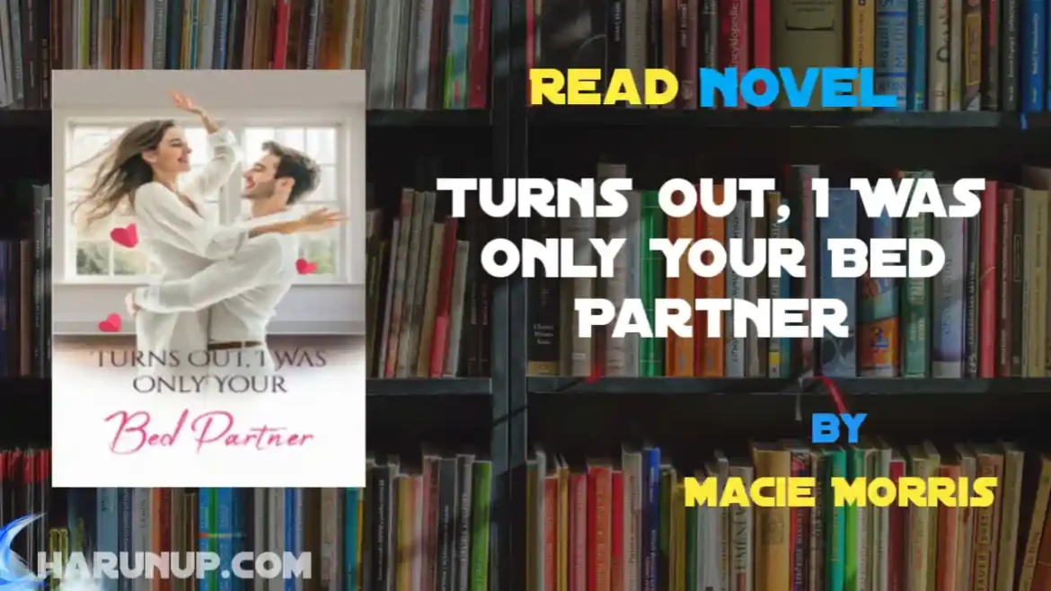 Turns Out, I Was Only Your Bed Partner Novel