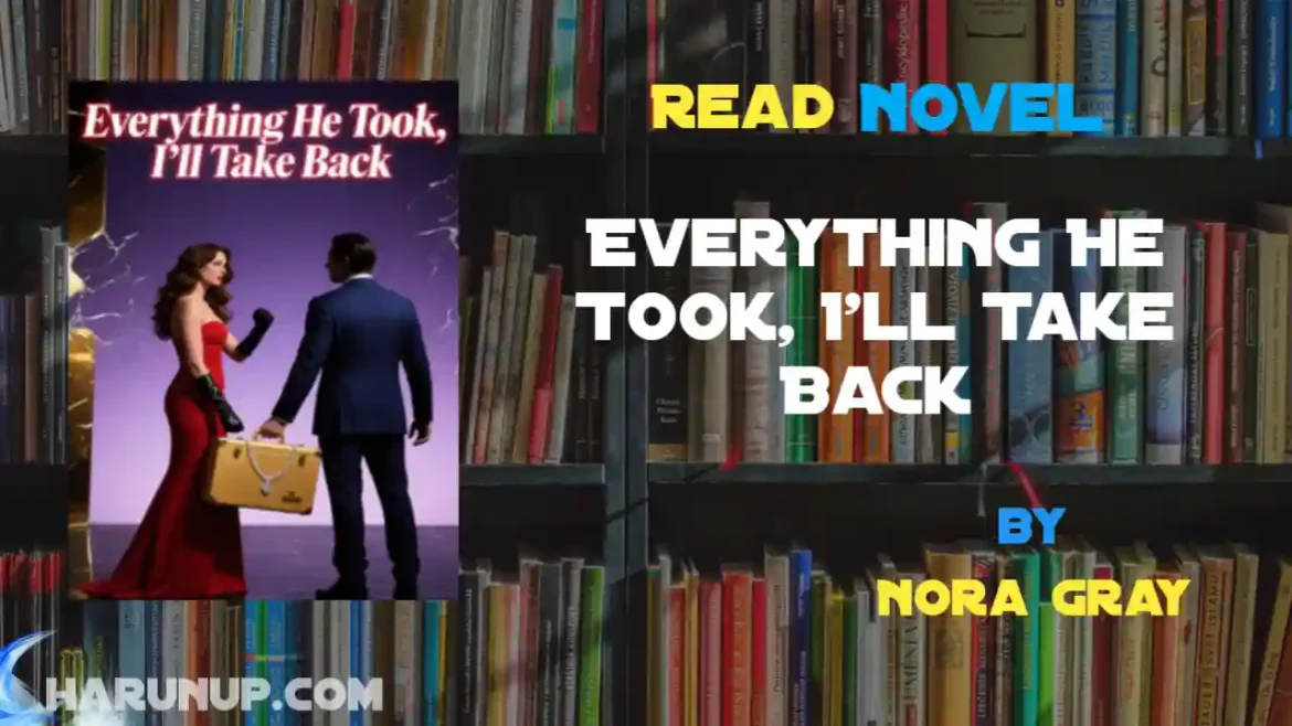 Everything He Took, I'll Take Back Novel