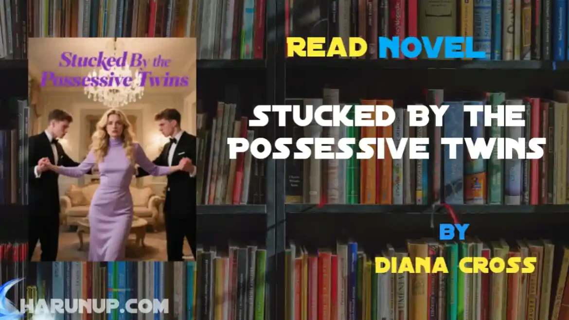 Stucked By the Possessive Twins Novel
