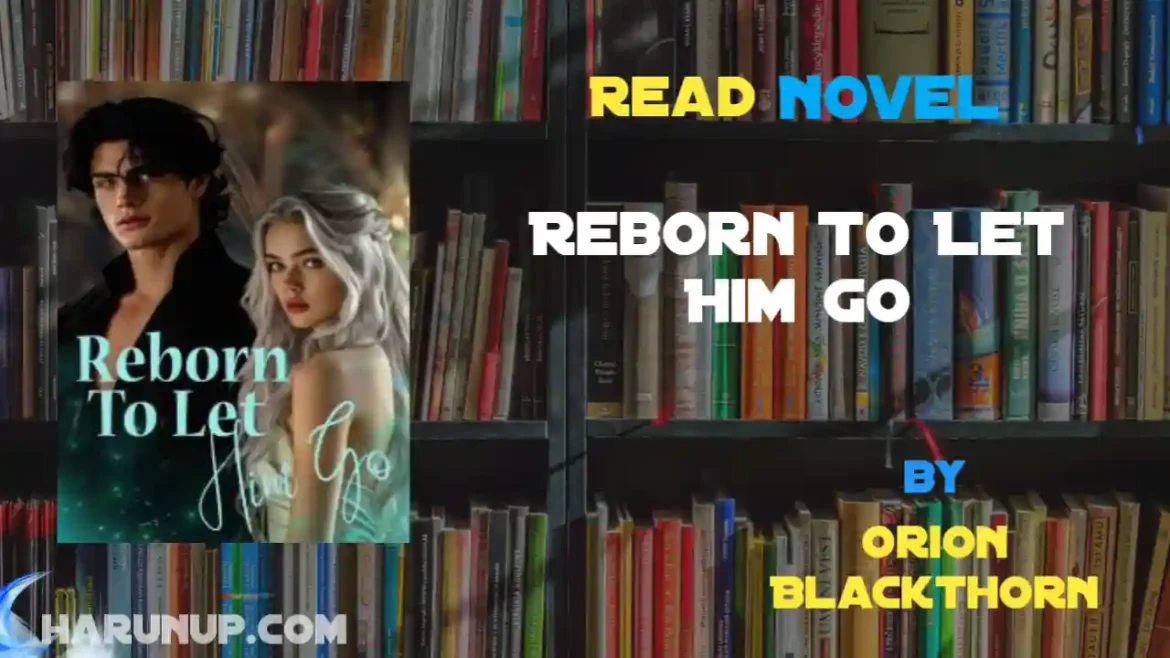 Reborn To Let Him Go Novel