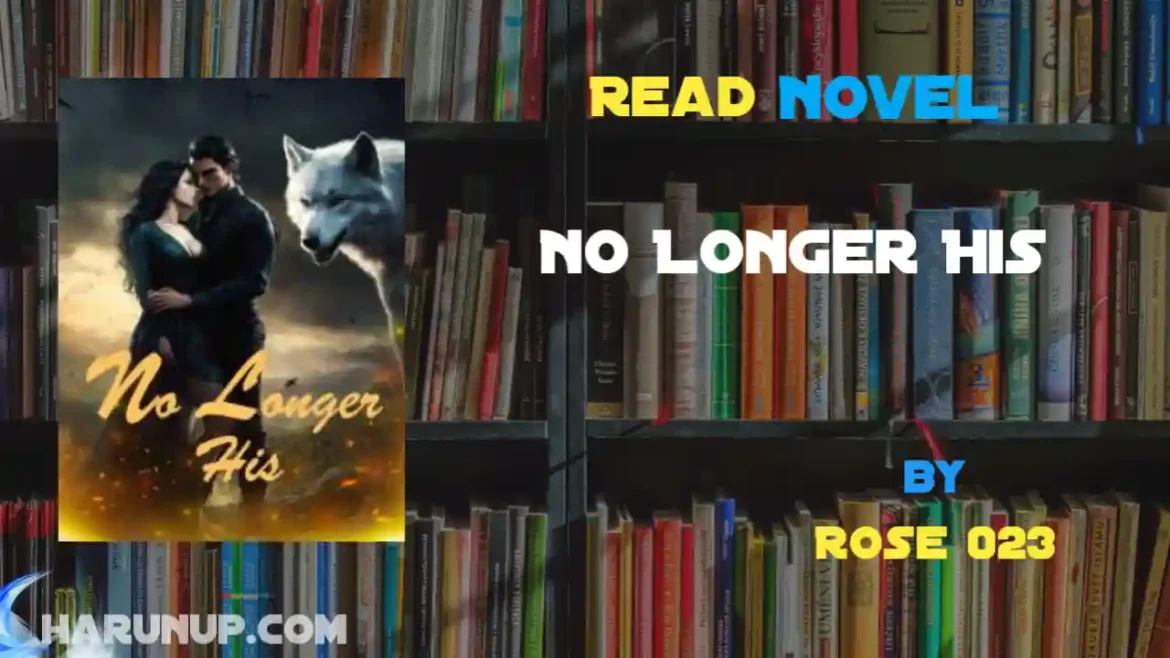 No Longer His Novel