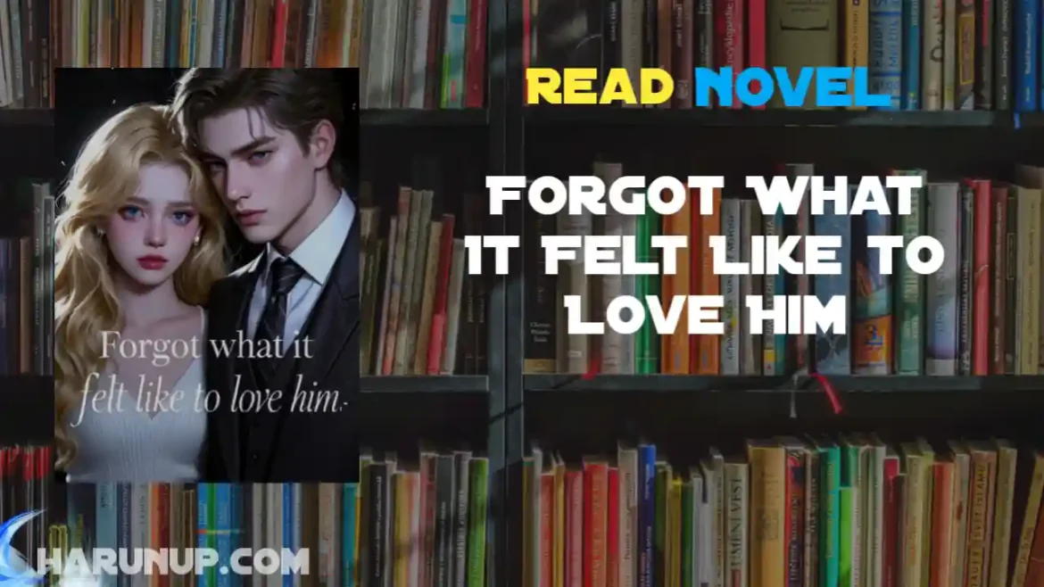 Forgot What It Felt Like to Love Him Novel