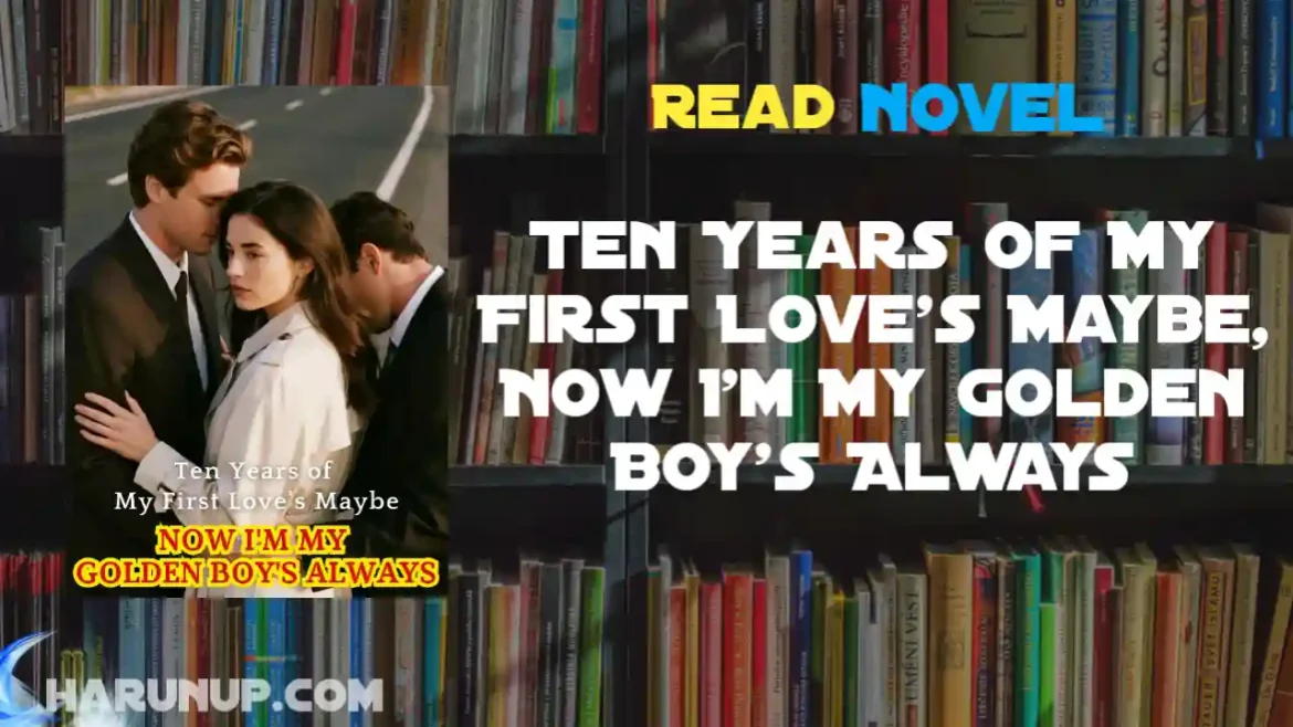 Ten Years of My First Love's Maybe, Now I'm My Golden Boy's Always Novel