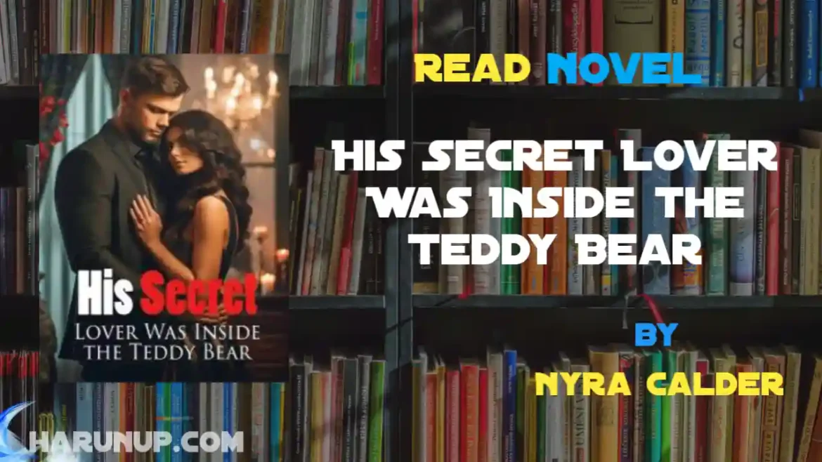 His Secret Lover Was Inside the Teddy Bear Novel