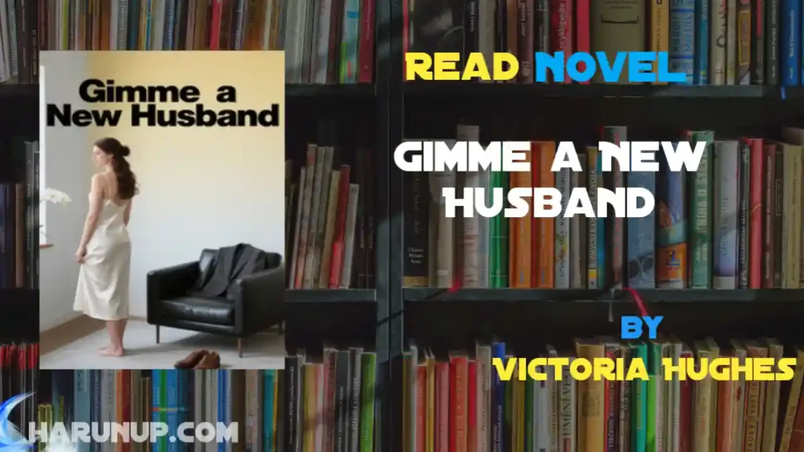 Gimme a New Husband Novel