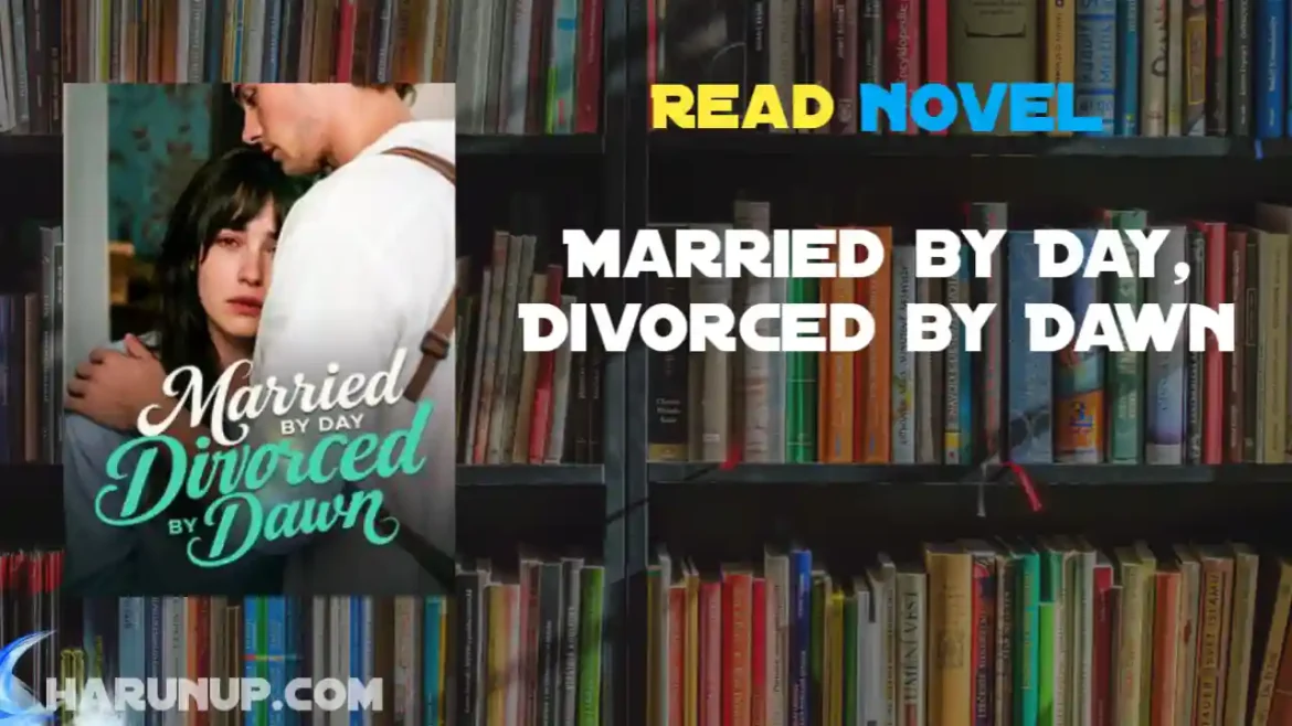 Married by Day, Divorced by Dawn Novel