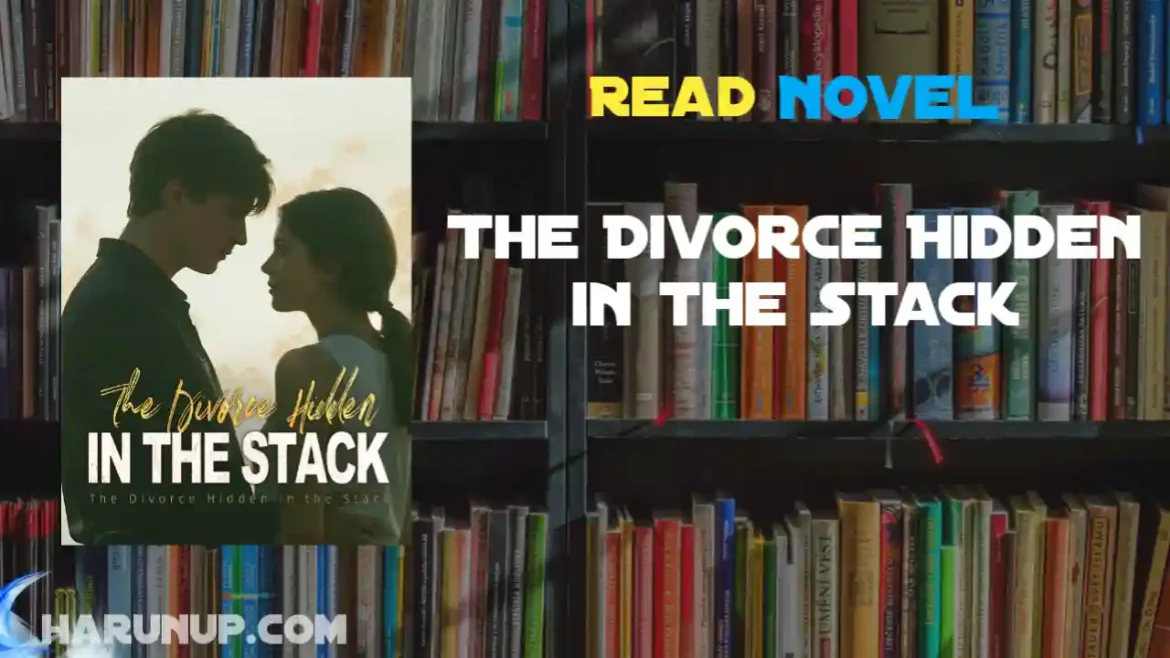 The Divorce Hidden in the Stack Novel