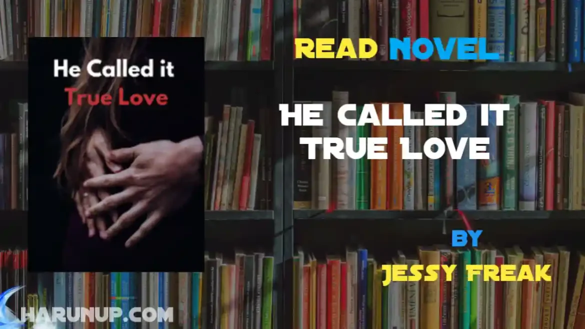 He Called it True Love Novel