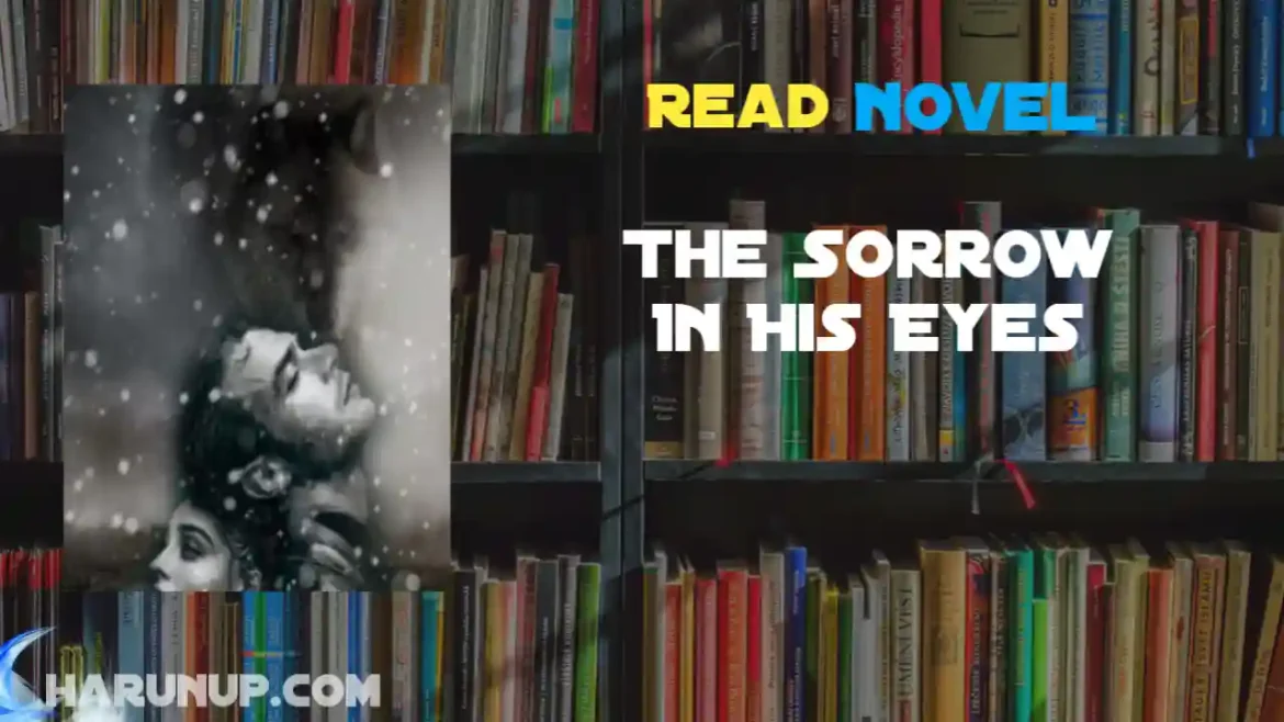 The Sorrow In His Eyes Novel