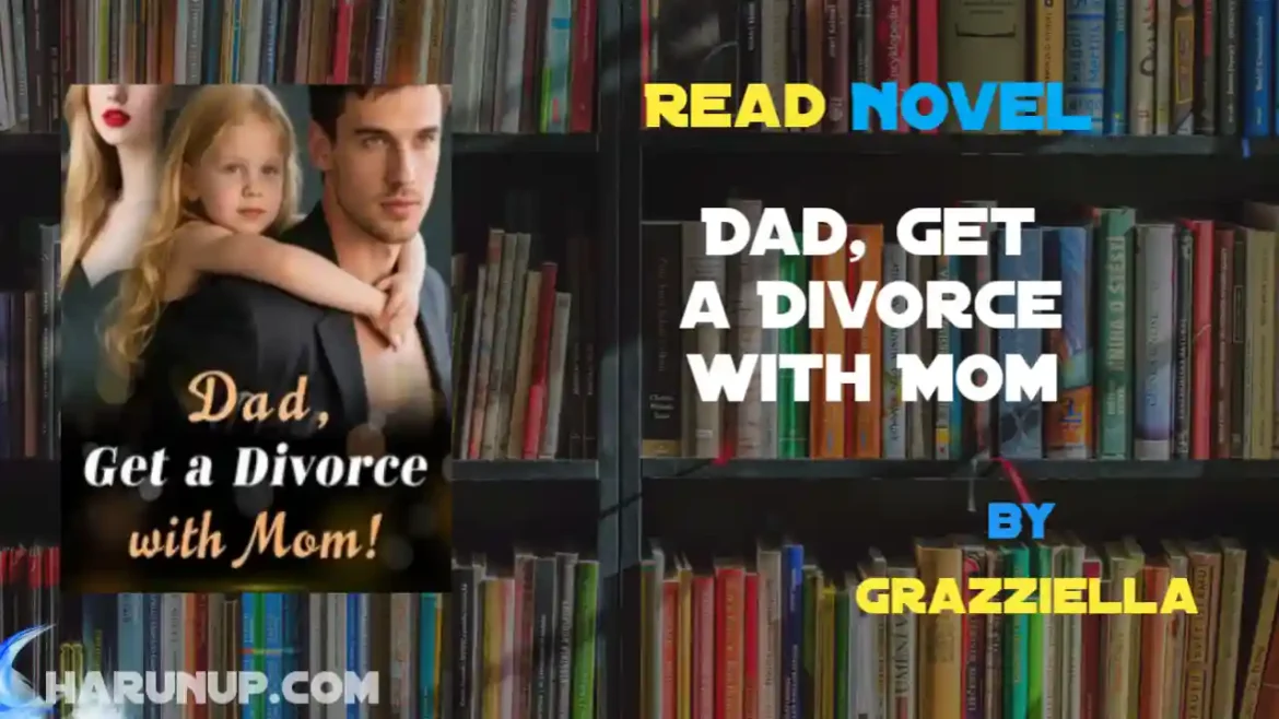 Dad, Get a Divorce with Mom Novel